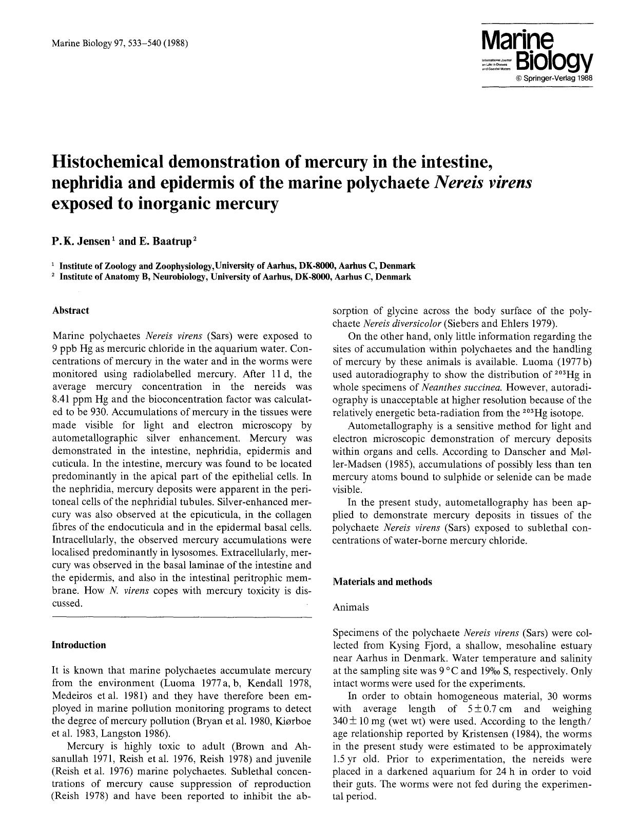 Histochemical demonstration of mercury in the intestine, nephridia and epidermis of the marine polychaete <Emphasis Type="Italic">Nereis virens<Emphasis> exposed to inorganic mercury by Unknown