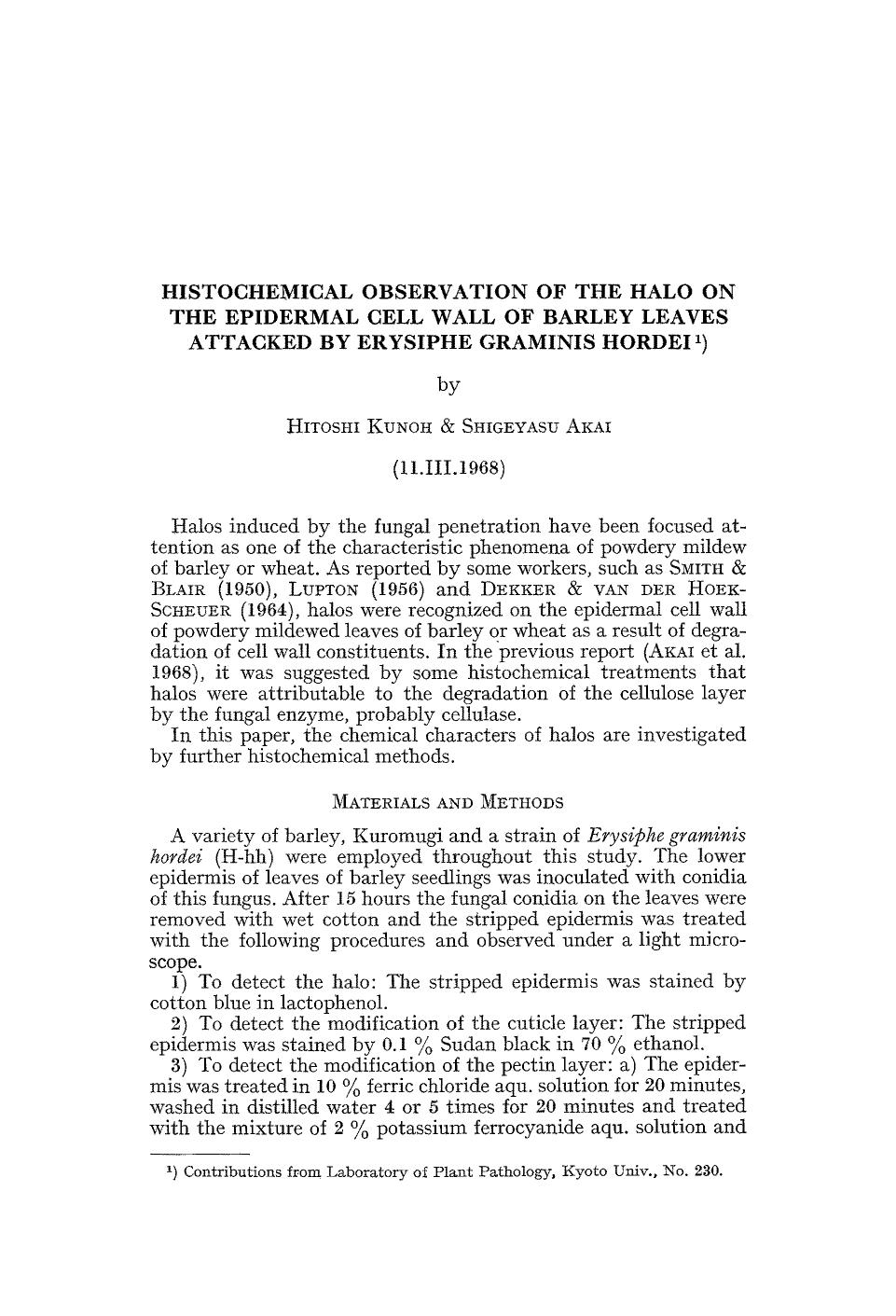 Histochemical observation of the halo on the epidermal cell wall of barley leaves attacked by Erysiphe graminis hordei by Unknown