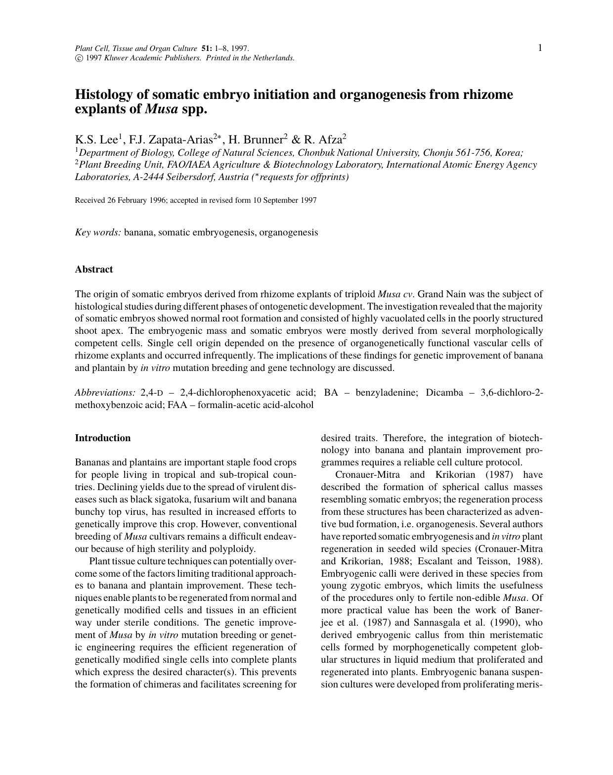Histology of somatic embryo initiation and organogenesis from rhizome explants of Musa spp. by Unknown
