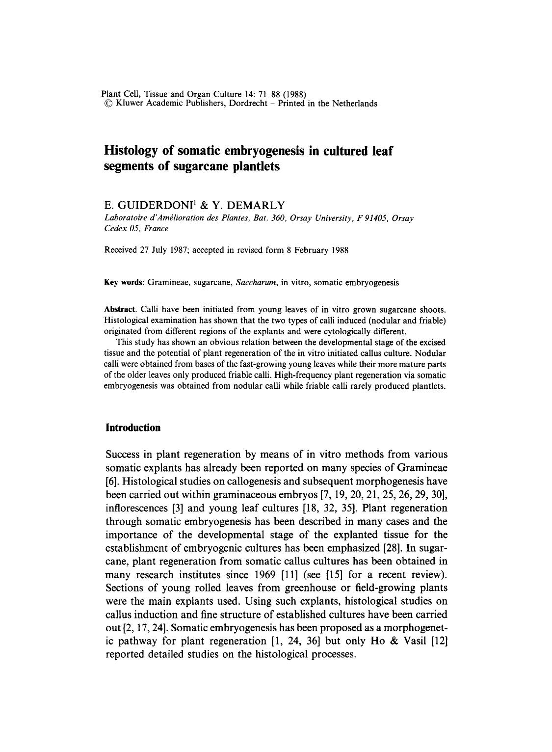 Histology of somatic embryogenesis in cultured leaf segments of sugarcane plantlets by Unknown