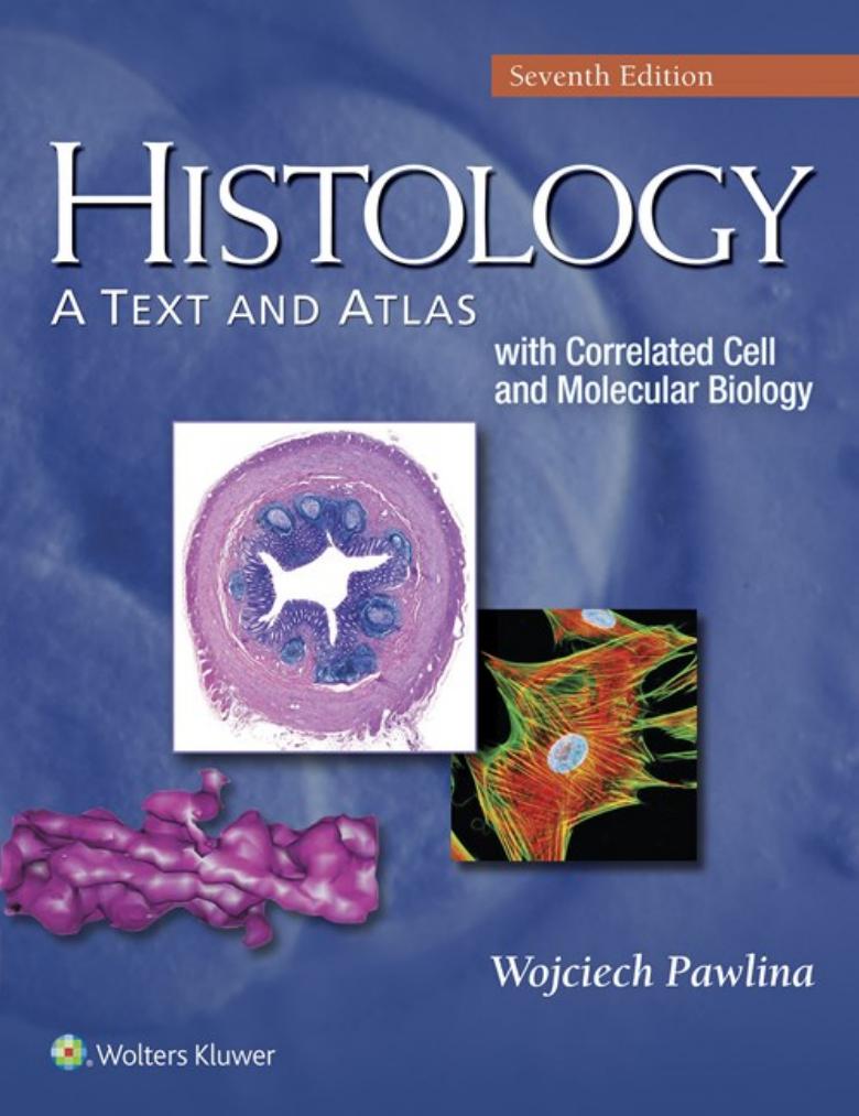 Histology: A Text and Atlas: With Correlated Cell and Molecular Biology by Michael H. Ross