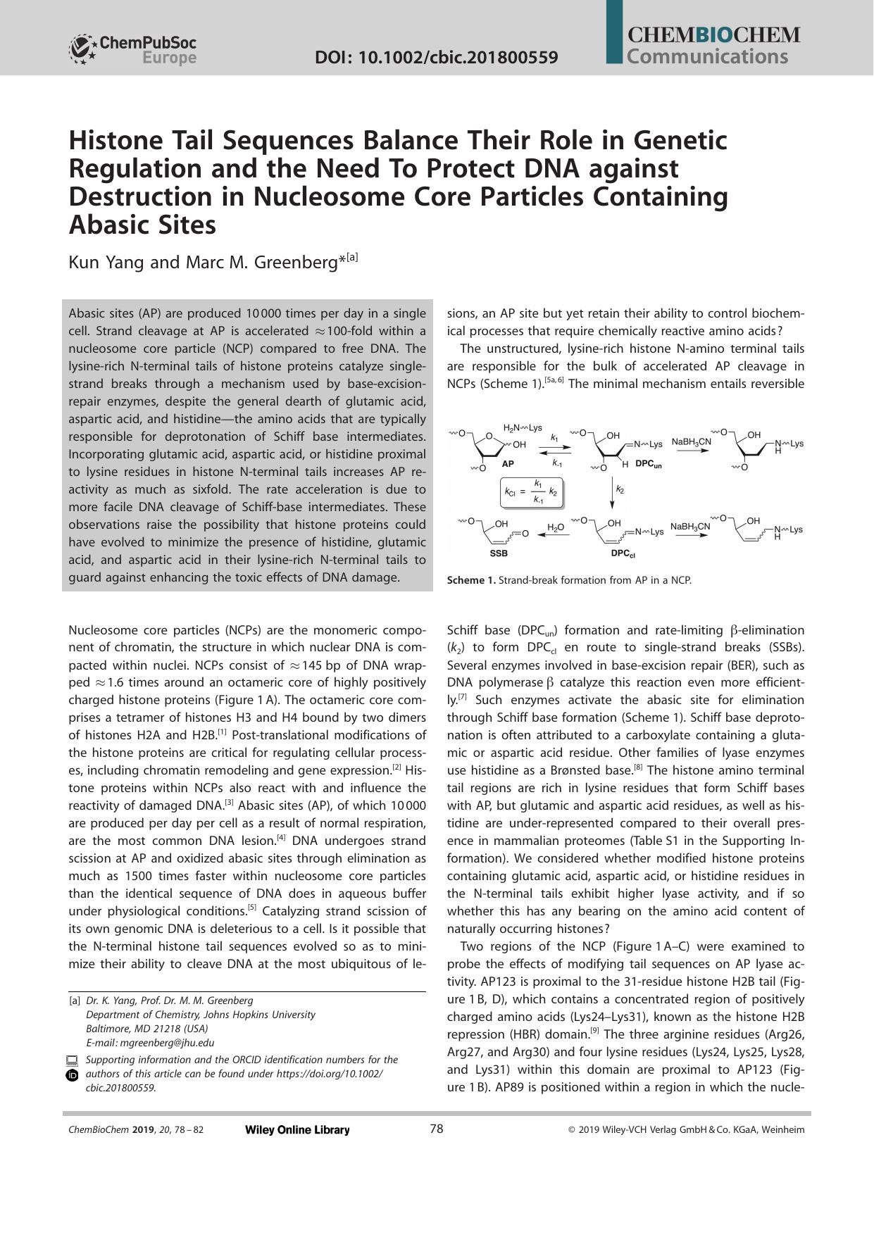 Histone Tail Sequences Balance Their Role in Genetic Regulation and the Need To Protect DNA against Destruction in Nucleosome Core Particles Containing Abasic Sites by Unknown