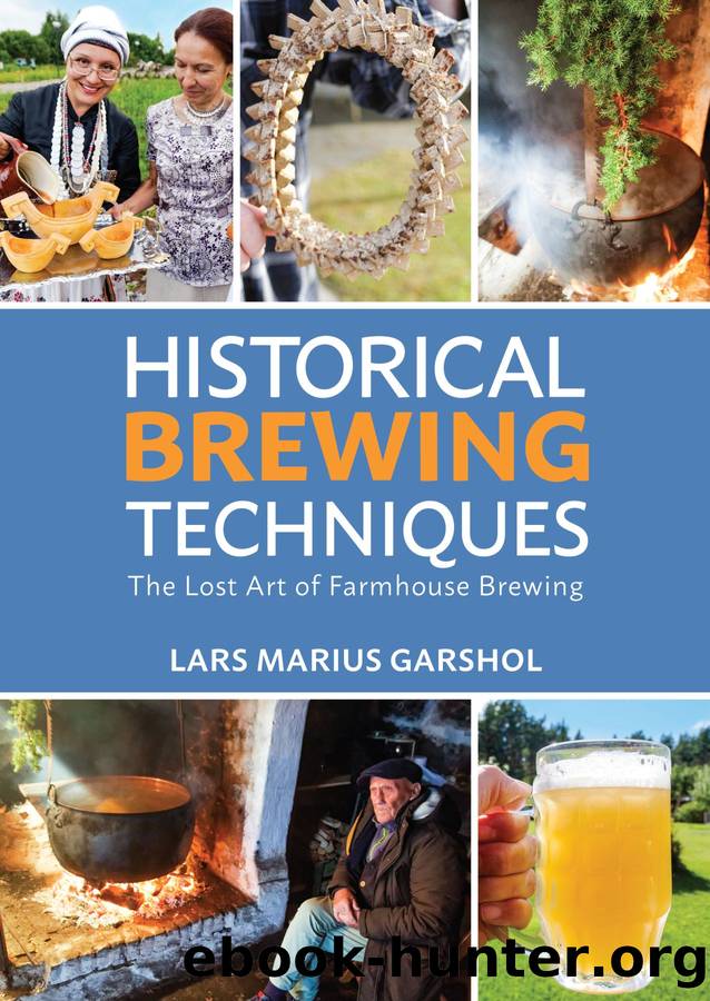 Historical Brewing Techniques by Lars Marius Garshol