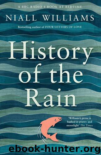 History of the Rain by Williams Niall
