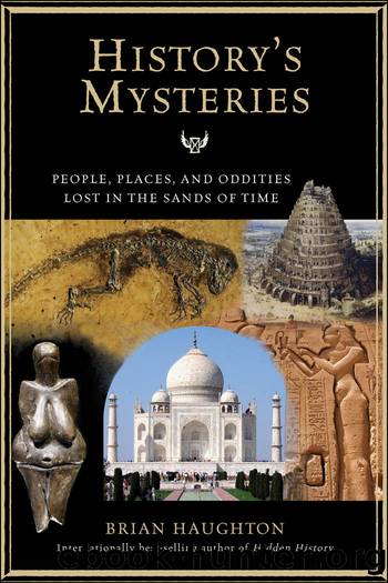 History's Mysteries by Brian Haughton
