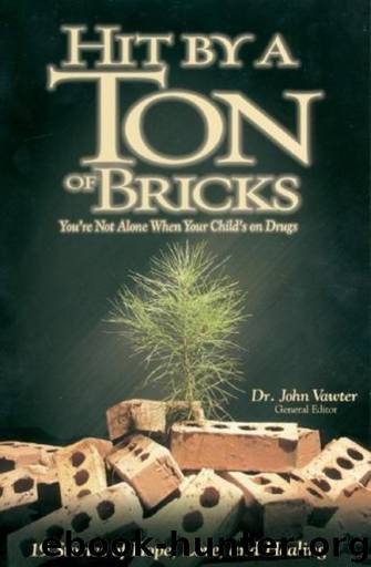 Hit By A Ton Of Bricks: You're Not Alone When Your Child's On Drugs by Dr. John Vawter