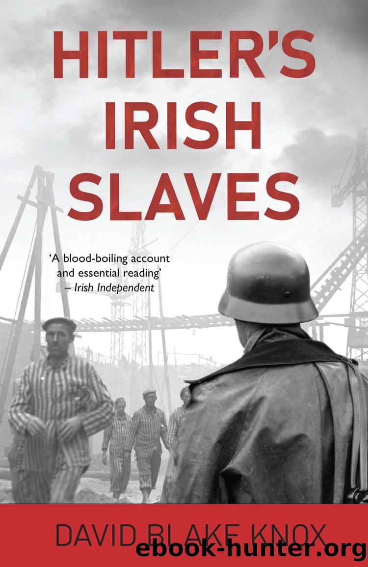 Hitler's Irish Slaves by David Blake Knox
