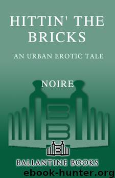Hittin' the Bricks by Noire