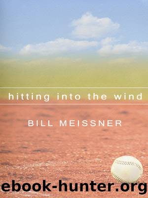 Hitting into the Wind by William Meissner