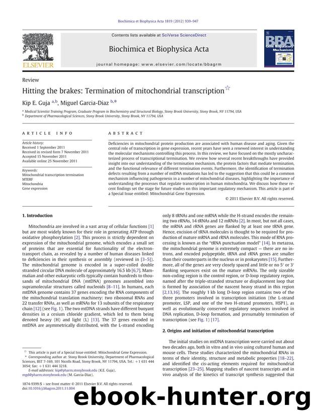 Hitting the brakes: Termination of mitochondrial transcription by Kip E. Guja & Miguel Garcia-Diaz