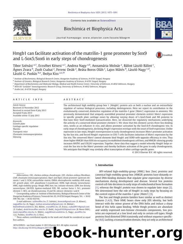 Hmgb1 can facilitate activation of the matrilin-1 gene promoter by Sox9 and L-Sox5Sox6 in early steps of chondrogenesis by unknow