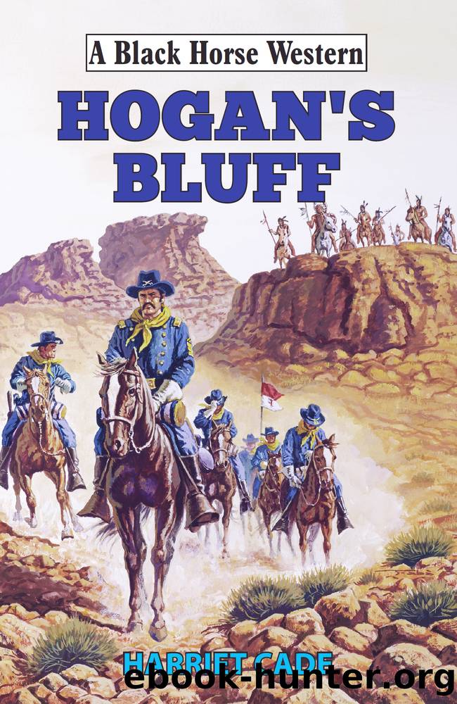 Hogan's Bluff by Harriet Cade