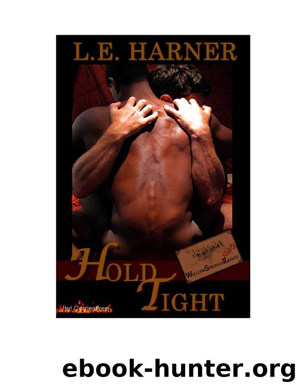 Hold Tight by L.E. Harner