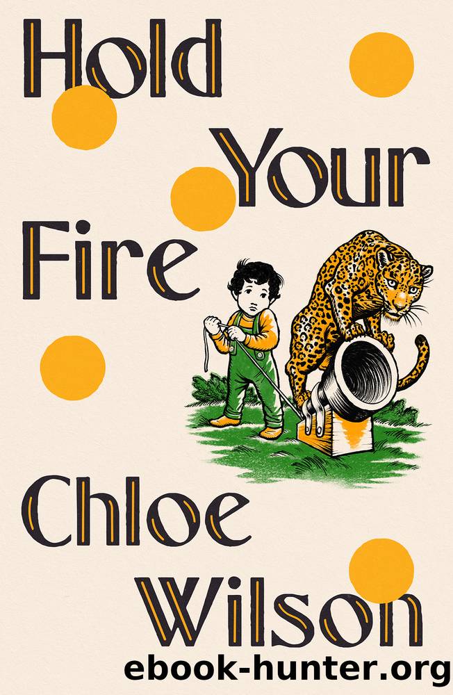 Hold Your Fire by Chloe Wilson