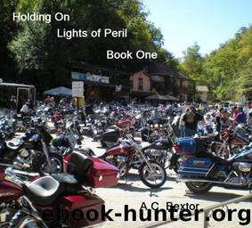 Holding On by A.C. Bextor