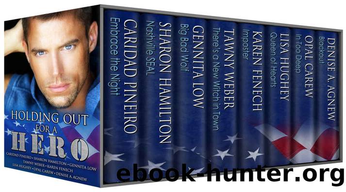 Holding Out for a Hero by unknow