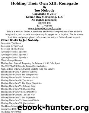 Holding Their Own XIII: Renegade by Nobody Joe