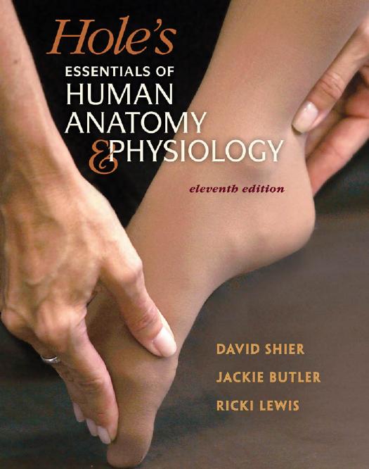 Hole's Essentials of Human Anatomy & Physiology, 11th Edition (repost) by David Shier Jackie Butler Ricki Lewis