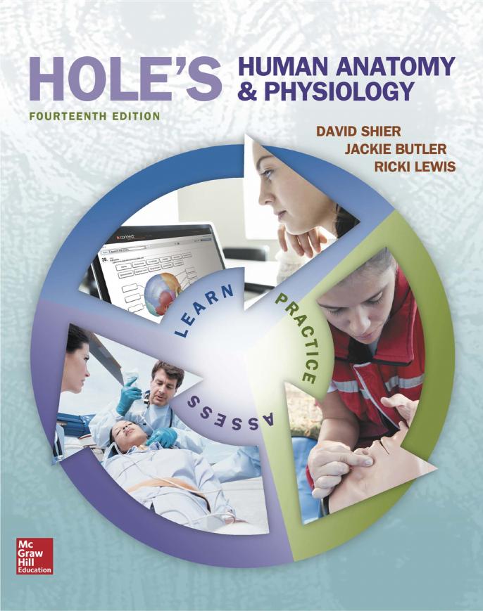 Hole's Human Anatomy & Physiology, 14th Edition by Unknow