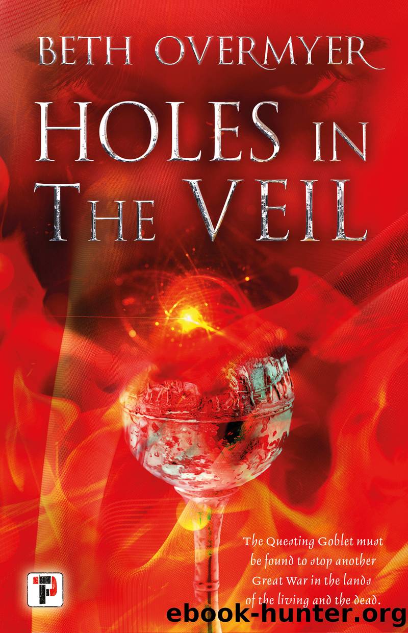 Holes in the Veil by Beth Overmyer