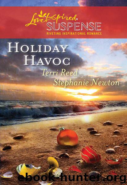 Holiday Havoc by Terri Reed