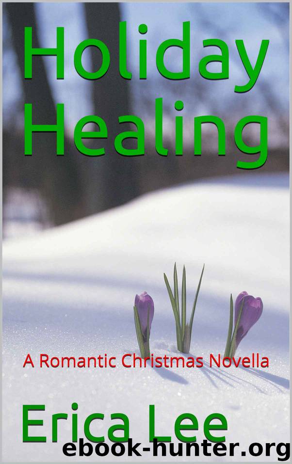 Holiday Healing by Erica Lee
