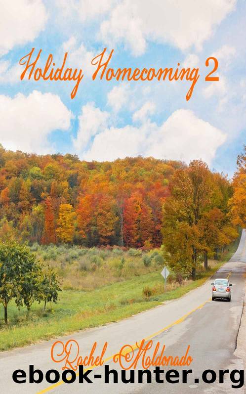 Holiday Homecoming 2 by Rachel Maldonado