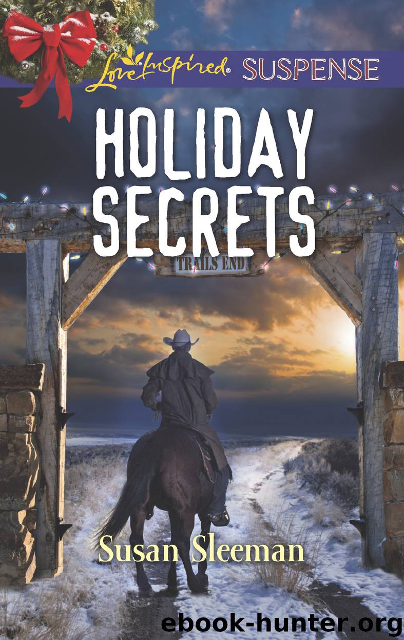 Holiday Secrets by Susan Sleeman