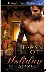 Holiday Sparks by Taryn Elliott