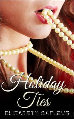Holiday Ties by Elizabeth Safleur