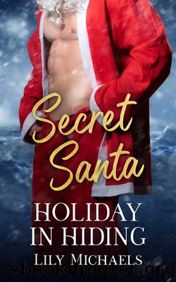 Holiday in Hiding: a Secret Santa story by Lily Michaels