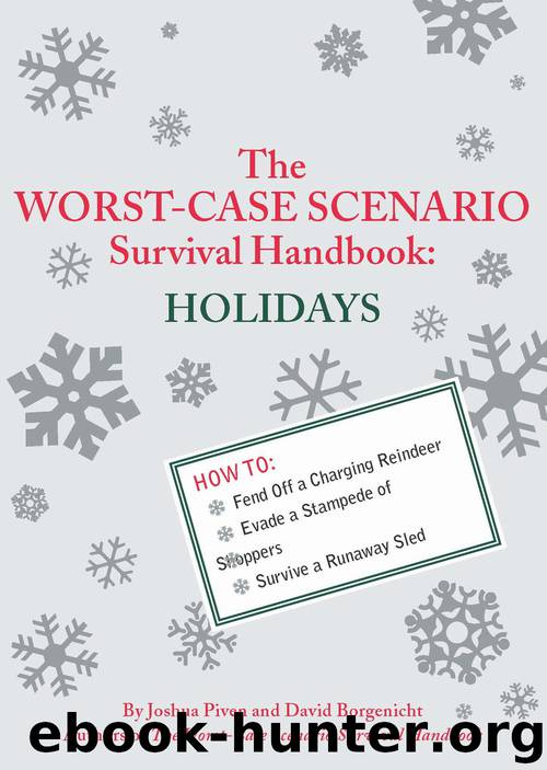 Holidays: The WORST-CASE SCENARIO Survival Handbook by David Borgenicht