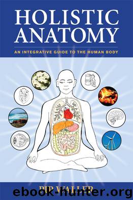 Holistic Anatomy by Pip Waller