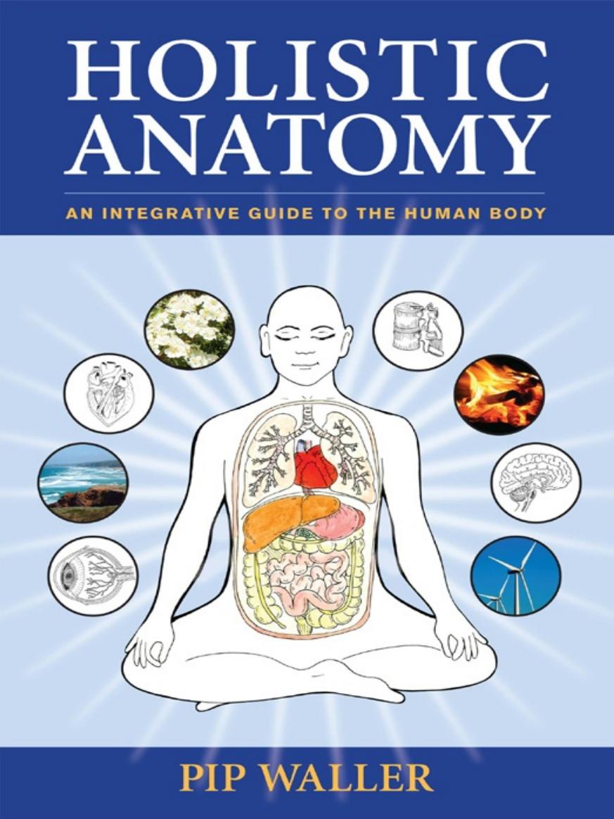 Holistic Anatomy: An Integrative Guide to the Human Body by Pip Waller