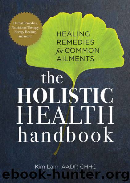 Holistic Health Handbook: Healing Remedies for Common Ailments by Kim Lam AADP CHHC