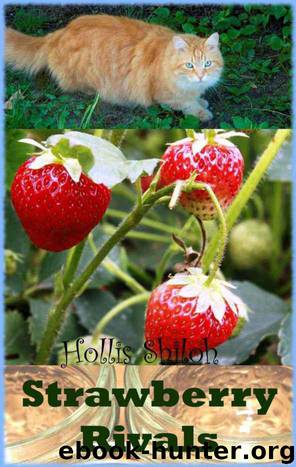 Hollis Shiloh - Strawberry Rivals by Shiloh Hollis