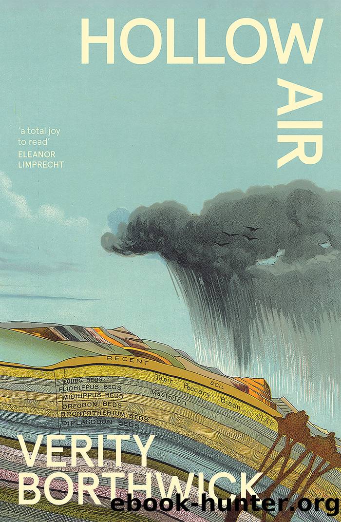 Hollow Air by Verity Borthwick