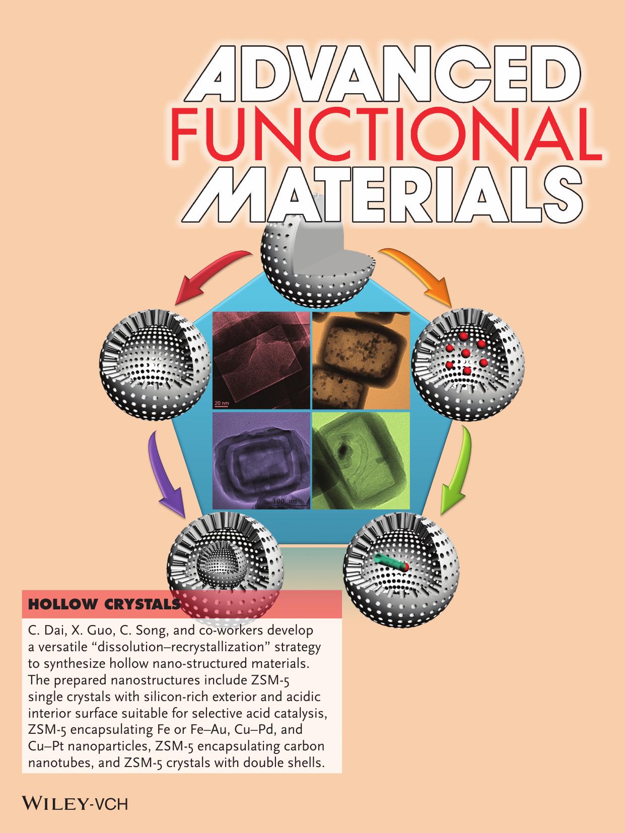 Hollow Crystals: Hollow ZSM‐5 with Silicon‐Rich Surface, Double Shells, and Functionalized Interior with Metallic Nanoparticles and Carbon Nanotubes (Adv. Funct. Ma by Unknown