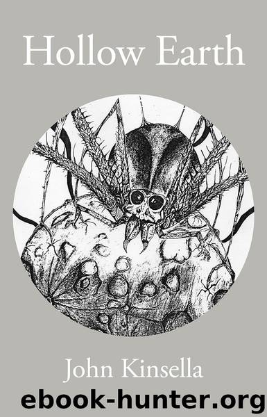 Hollow Earth by John Kinsella