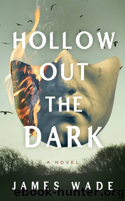 Hollow Out the Dark by James Wade