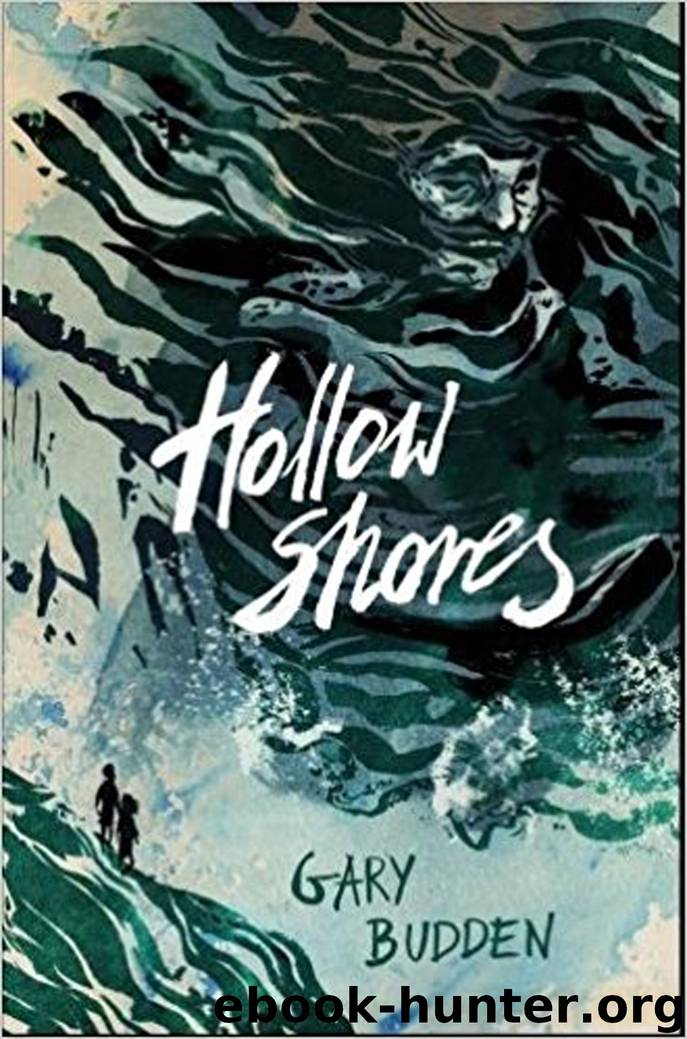 Hollow Shores by Gary Budden
