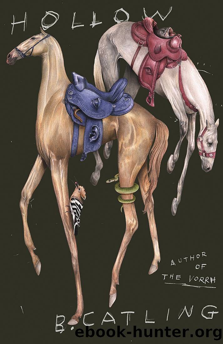 Hollow by Brian Catling