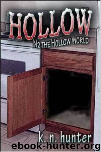 Hollow: N2 The Hollow World by K N Hunter