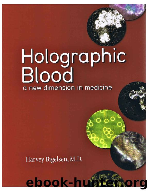 Holographic Blood: A New Dimension in Medicine by Harvey Bigelsen M. D. & Aren Howell