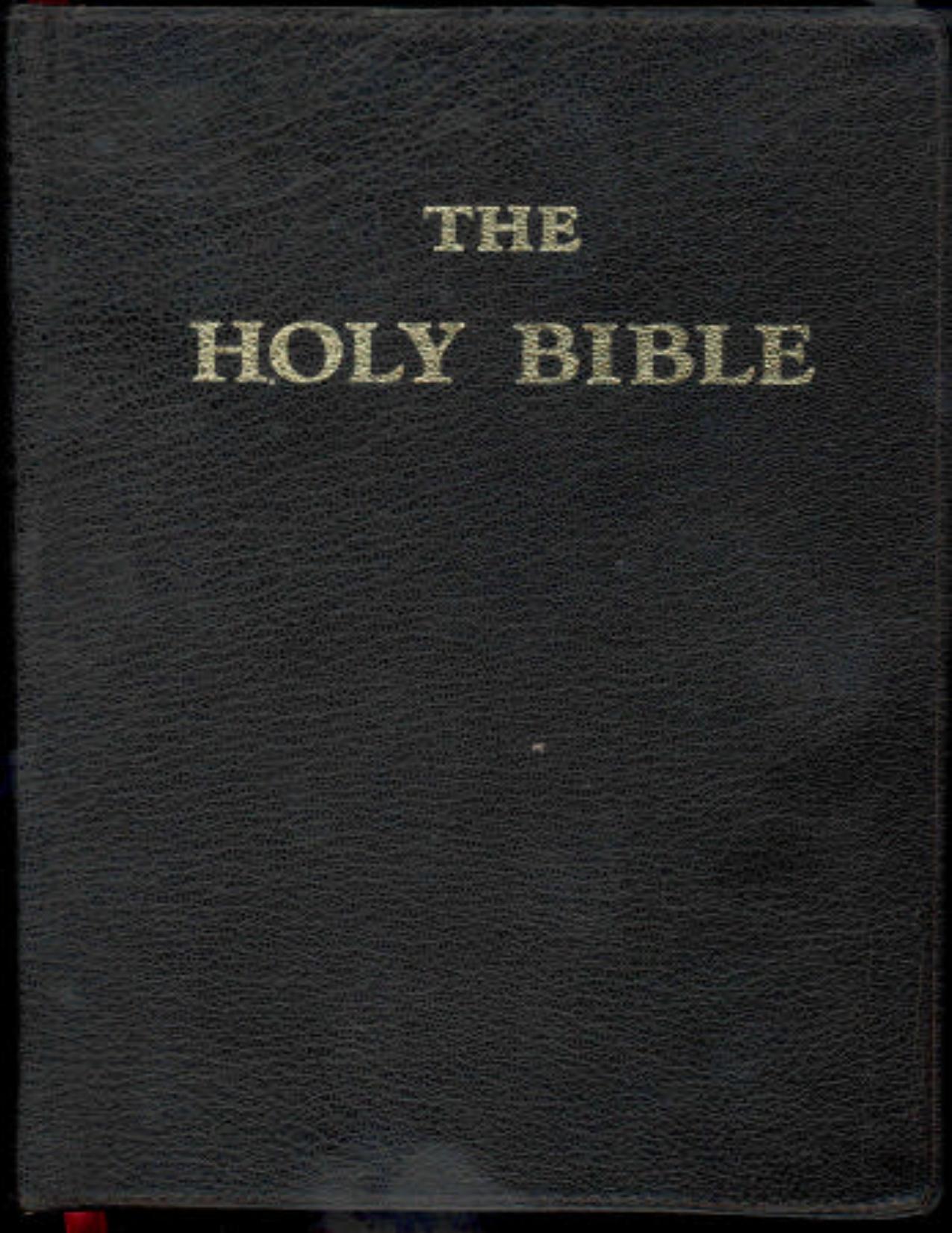 Holy Bible - Douay-Rheims by Richard Challoner (Translator)