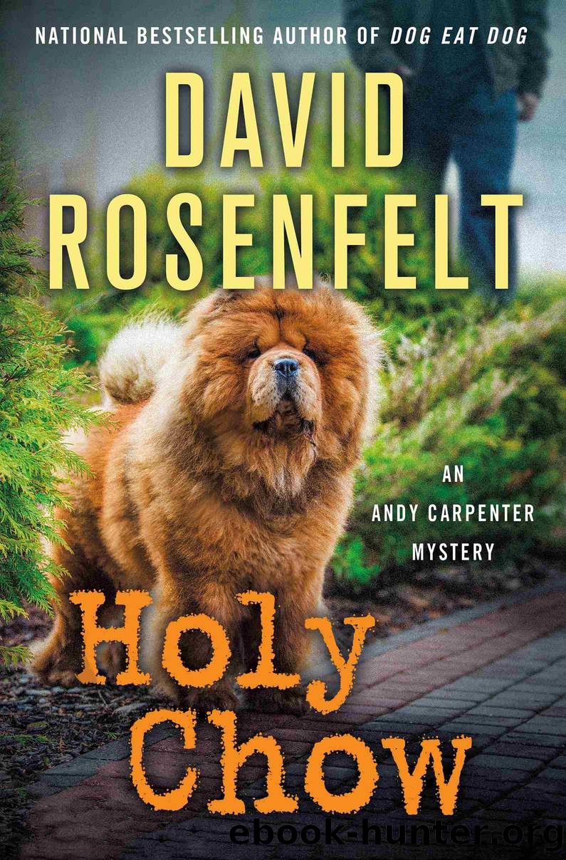 Holy Chow--An Andy Carpenter Mystery by David Rosenfelt