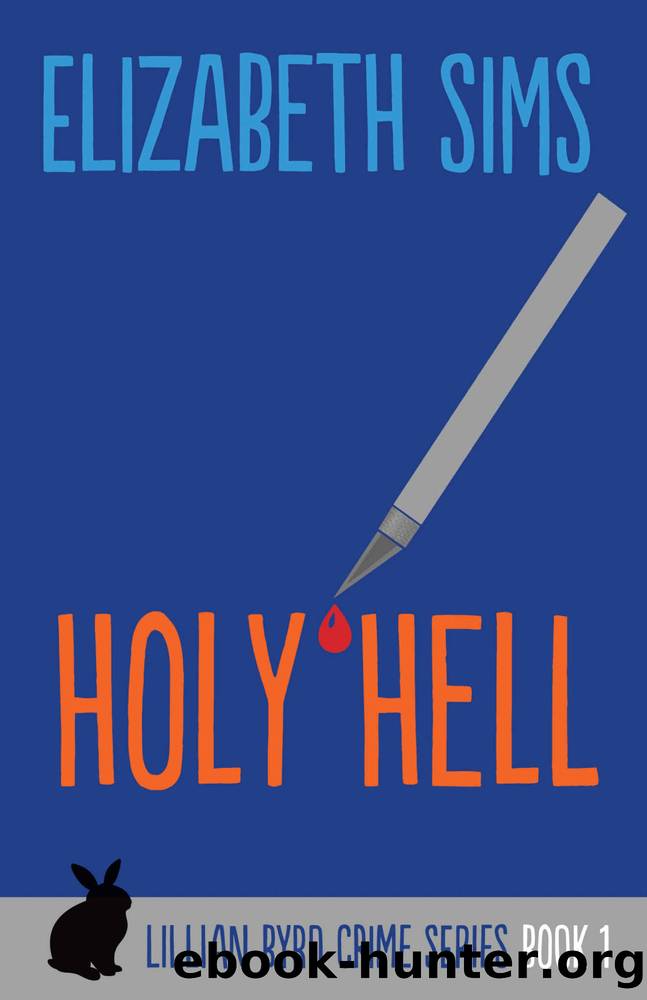 Holy Hell (Lillian Byrd Crime Series Book 1) by Elizabeth Sims