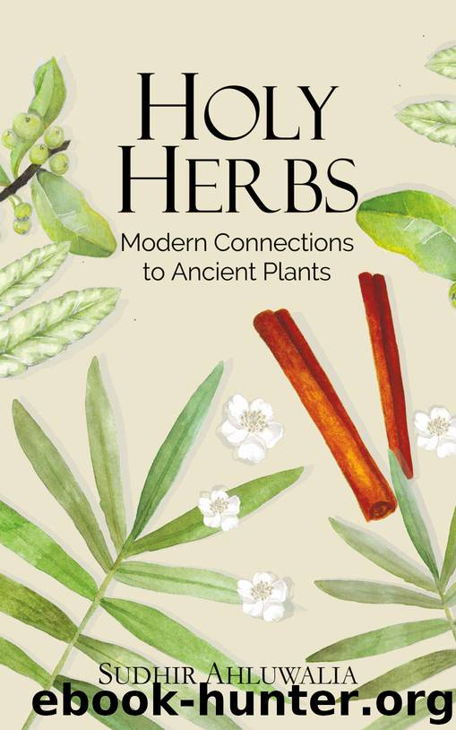 Holy Herbs: Modern Connections to Ancient Plants by Ahluwalia Sudhir