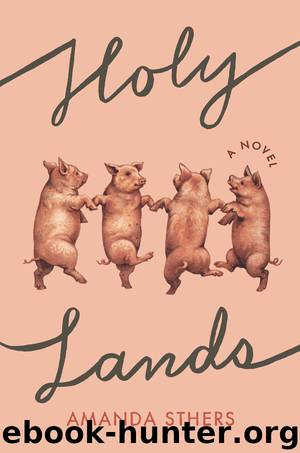 Holy Lands by Amanda Sthers