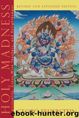 Holy Madness: Spirituality, Crazy-Wise Teachers, and Enlightenment by Georg Feuerstein